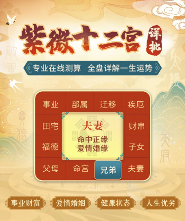 紫微精批